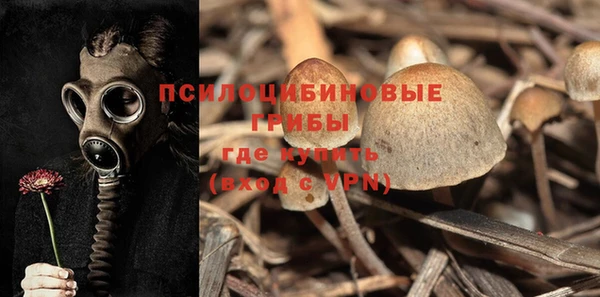 spice Горняк