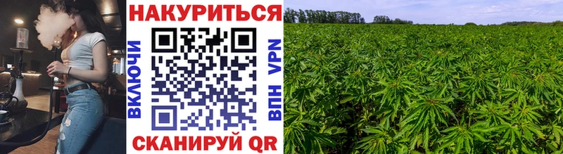 Марихуана LSD WEED  наркошоп  Сычёвка 